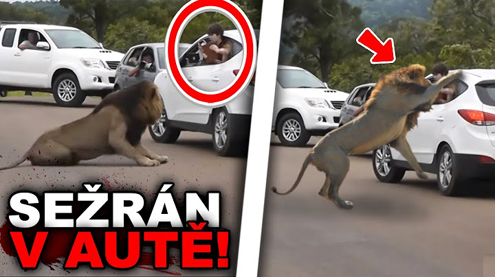 3 LIDÉ, KTEŘÍ BYLI SEŽRÁNI ZAŽIVA VE SVÉM AUTĚ!