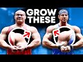 The ultimate side delt growth program how to gain mass fast