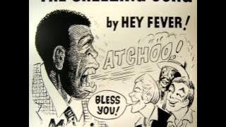 HEY FEVER - The Sneezing Song (Original 12'' Mix).wmv