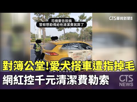 對簿公堂！愛犬搭車遭指掉毛 網紅控千元清潔費勒索｜華視新聞 20231202