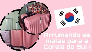 Como arrumar mala para Coreia do sul 20 dias primavera 2024