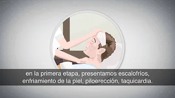 ¿Qué ocurre si no se tratan las infecciones?