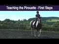 Teaching the Pirouette - First Steps. Reward-based Training