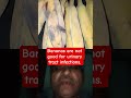 #சிறுநீறகபிரச்சனைக்குதீர்வு##onetouch# short video#healthyfood #jfc835#தமிழ்ஷாட்ஸ் #மூலிகைபயன்கள்