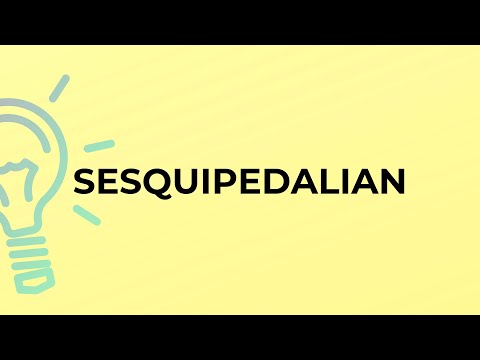 Video: Qual è la definizione di sesquipedaliano?