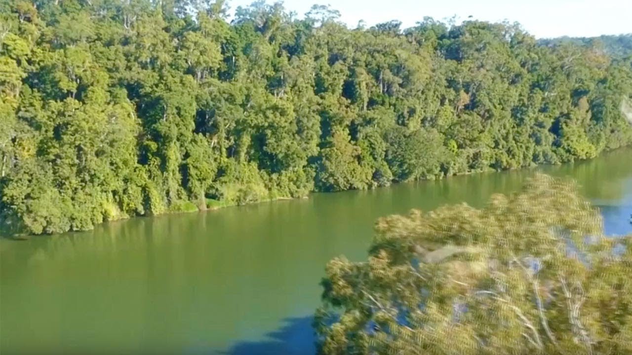 down under tours skyrail