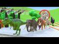 Animal Crossing Fountain With Elephant Kangroo Horse Lion Trex,Part 1 | Who win?  | Zoova 3D