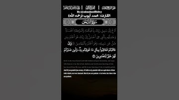 جمال التلاوة 😍😍#الشيخ#محمد_ايوب#محمد#محمد_أيوب#الشعب_الصيني_ماله_حل#تلاوة_خاشعة#قرآن#allah#fyp#quran