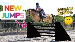 I HAVE *more* NEW SHOWJUMPS ~ Colour reveal and jumping them for the first time