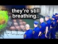 UNBELIEVABLE Police Bodycam Moments That Went Viral