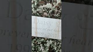 Sandstone Memorial Plaques for Pets