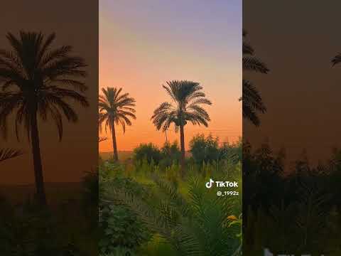 بعد الحب والعشره اربع سنوات قالت لي رغبتي انتهت معاك