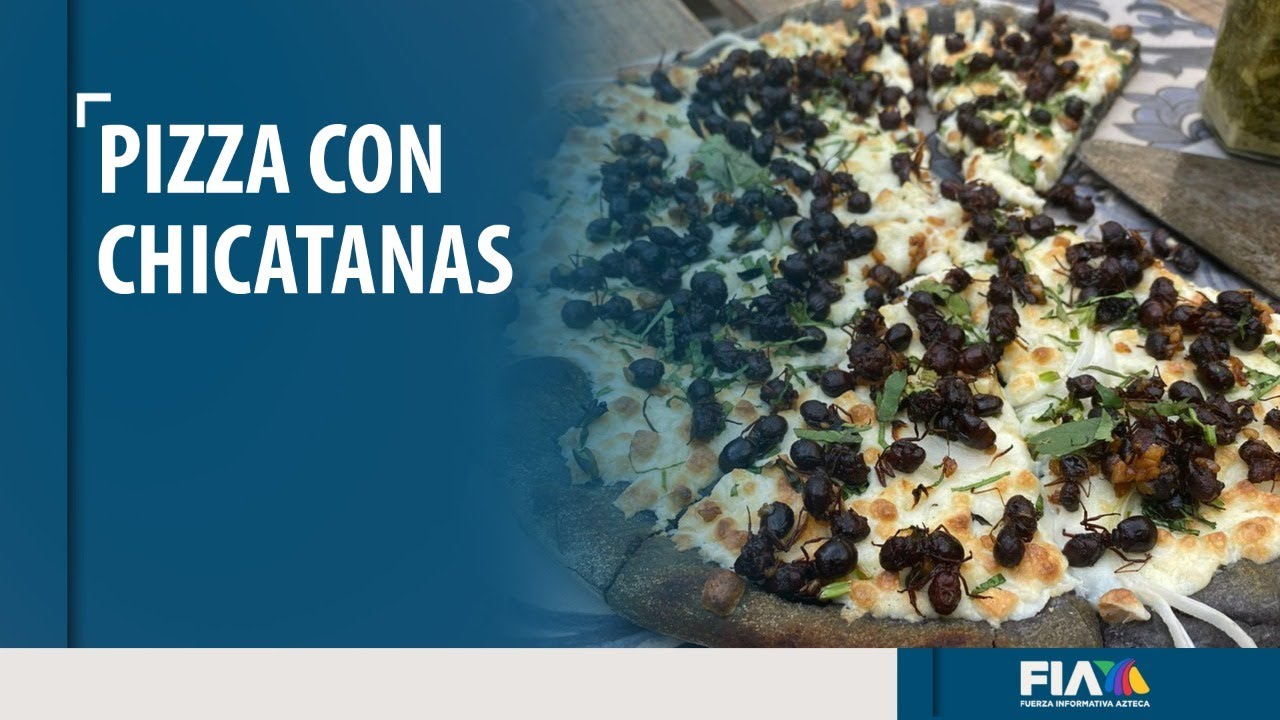 #SaboreandoMorelos | ¿Pizza con hormigas de San Juan o Chicatanas