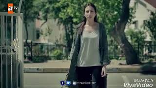 Kırgın Çiçekler • Gölgede Büyüyen Çiçekler Resimi