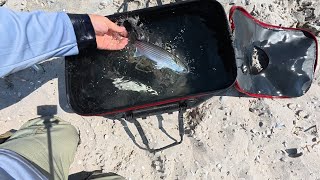 Попытка войти в одно и тоже море дважды. Бердянск. Азовское море. 17 08 2025