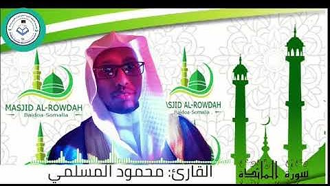 تلاوة ميسرة من سورة المائدة للقارئ الصومالي محمود المسلمي Masha allah Waa tilaawad aad uma can