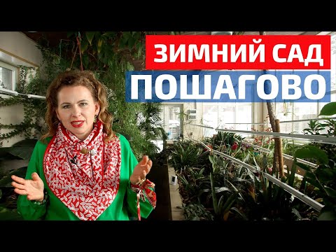 Все о ландшафтном дизайне: зимний сад с нуля за 190 000 рублей // FORUMHOUSE