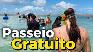 PASSEIO GRATUITO nas piscinas naturais de Porto de Galinhas 