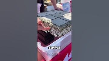 Permeable roads reduce flood risk, protect cities, and return water to the soil🚿🧱