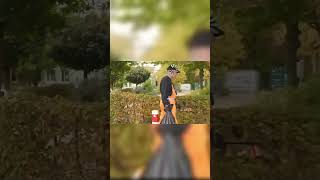 Weisheiten Mit Monte