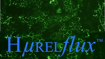 HurelFlux assay kit