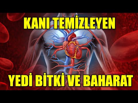 Video: Bir akciğer diğerinden daha mı küçük?