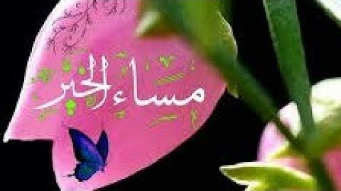 أجمل حالات واتس آب مسائية /أذكار المساء 💝 مقطع انستغرم دينية أستوريات مساء الخير