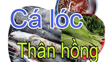 Cá lóc nướng than hồng vùng quê nghèo