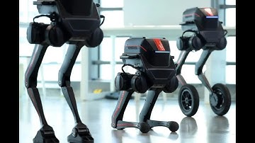 The agile bipedal robot TRON 1