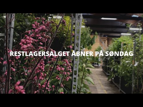 Video: Sådan åbner Du Et Planteskole