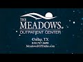 Meadows behavioral healthcare  dallas outpatient