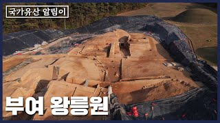 [국가유산 알림이] 100년 만에 만난 부여 왕릉원