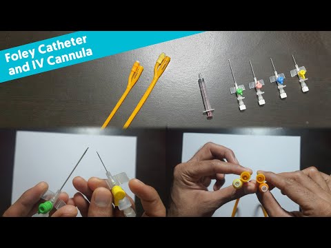 Foley Catheter and