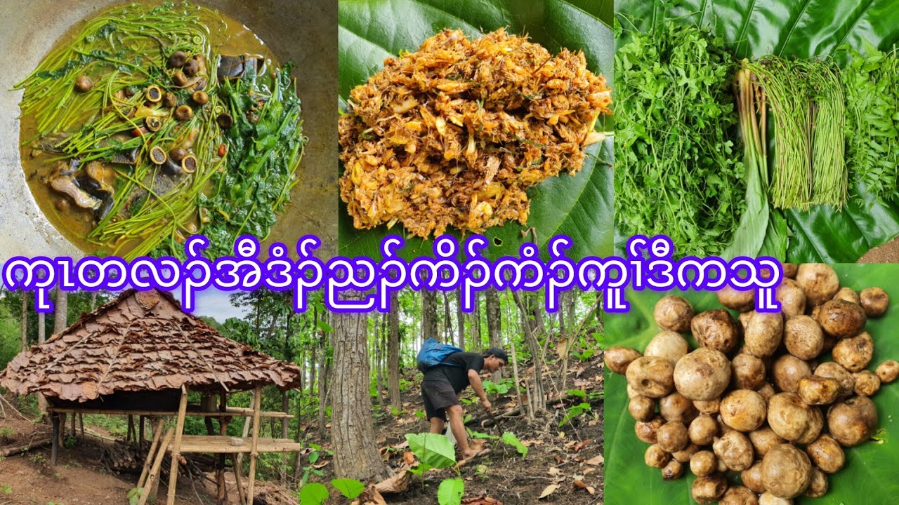 Mountain food ကုၤတလၣ်အီဒံၣ်ညၣ်ကိၣ်ဒီးကံၣ်ကိၢ်ဒီ