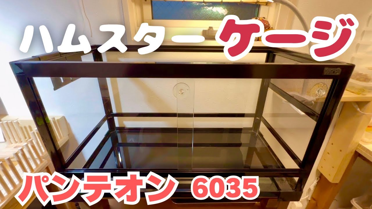 ハムスターケージの紹介☆パンテオン6035 - YouTube
