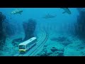 Dubai's Crazy Underwater Train and Other Things #Only in Dubai