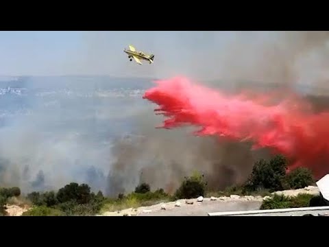 וִידֵאוֹ: שני מבוגרים וחמישה ילדים מתו בשריפה ליד סמולנסק