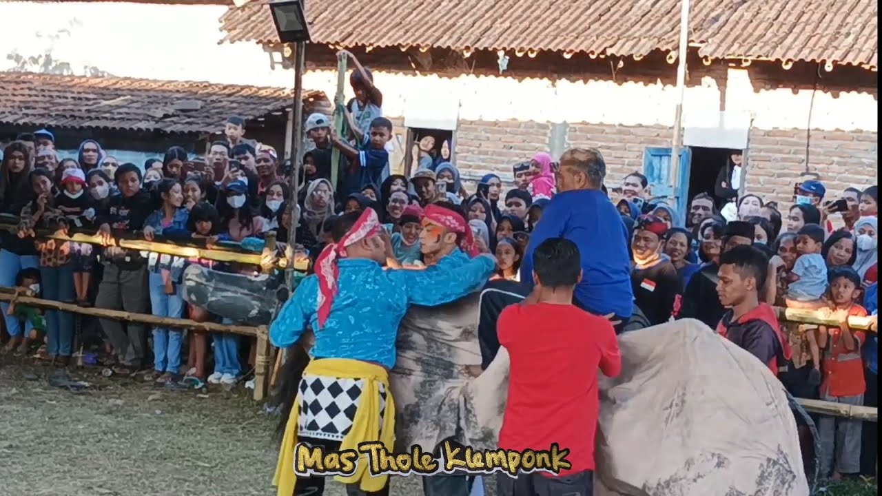 NJEPAT NAIK SAPI JATUH. KBW, KRIDHO BUDOYO WARAK,