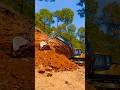 Hyundai excavator | Pine Forest