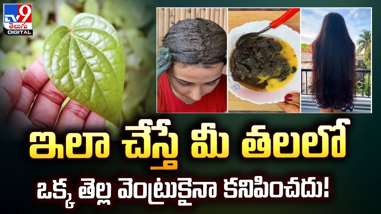 ఇలా చేస్తే మీ తలలో ఒక్క తెల్ల వెంట్రుకైనా కనిపించదు! | Betel Leaf Hair Mask - TV9