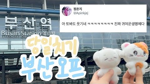[판다로그] 부산여행이라고 부르는 당일치기 부산오프ㅣ정은지만의 귀여운 생명체가 되.ㅣ응원법은 기세다.ㅣ부산 갈매기 등장ㅣ택시기사님과 수다