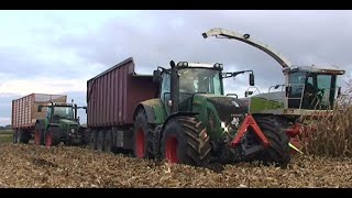 Maïs 2008 Aldenzee samen met Kuunders,Fendt 936 heeft een paar keer hulp nodig van een Fendt 824