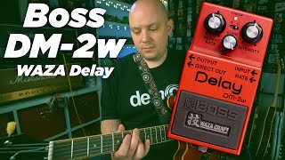 Boss Waza Dm-2W Delay