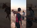 شغل الحصان الكيوت ما احلاه ترند اليوم Funny اكسبلور Explore اكسبلور شغل الحصان الكيوت ما احلاه ترند اليوم Funny اكسبلور Explore اكسبلور