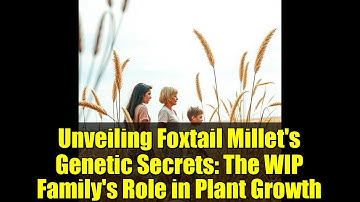 Unveiling Foxtail Millet