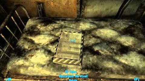 Fallout 3: Wasteland Survival Guide Book