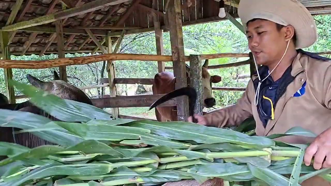 TEMPAT REKREASI EDUKASI TERBARU DI IBU KOTA NUSANTARA  AGROWISATA TENANG JIWO #ikn  #pariwisata 