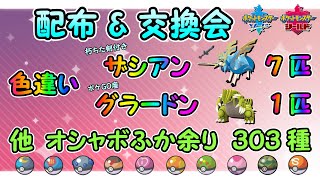 色違いザシアン グラードン 配布 選べるオシャボ孵化余り 交換会 ポケモン剣盾 Youtube