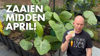 Deze 5 Groenten Kun Je Zaaien Midden April De Moesketier
