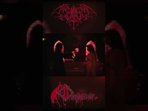 WORM | NECROPALACE | OUT NOW